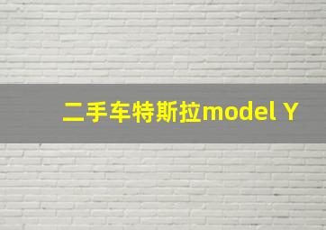 二手车特斯拉model Y